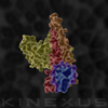 stacks_image_985C1126-0730-488E-9B3C-A4CA2B0881A0