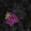 stacks_image_F13E71BE-FB52-44B2-921F-EB5AFBB284BA