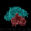 stacks_image_6CD3B8EA-15E0-455C-B762-F1DF4499A655