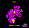 stacks_image_570AF9A0-B727-4FA2-B026-3953A6E1CA46