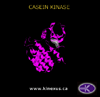 stacks_image_A0977648-1EDF-4547-A4B7-E3215DC8C93C