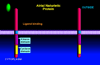 stacks_image_3172EF93-0CD6-412B-8C99-E4D4E540B302