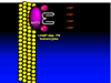 stacks_image_B626207F-80C4-4E55-8E28-0C4104417433