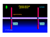 stacks_image_5DFAC55D-FCCC-42E5-A410-325D85E5F0E2