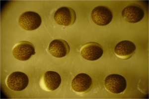 stacks_image_CEE5546B-9356-41E8-89D1-A41DE7748FE6