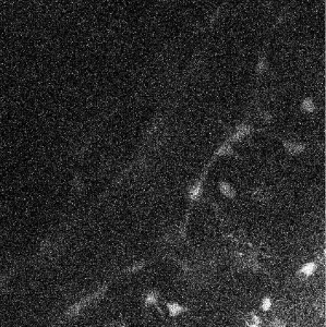 stacks_image_15561985-C23D-4470-B65A-AE7FDB69ECC1