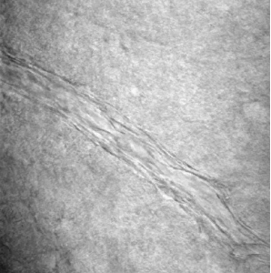 stacks_image_6A6B9D54-2FDB-472E-A1EF-A0508D920056