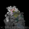 stacks_image_D8C65111-30C8-44DB-A09B-9D4FFDB04D23