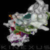 stacks_image_F6DA92F0-DE1B-4DD6-8F37-B8177E40AA3B