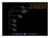 stacks_image_EA309FE2-95F8-4608-9CC1-7A9F5373BE60