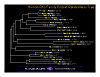 stacks_image_F44DF8D0-32F2-4D97-9488-B938E85A7B84