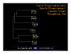 stacks_image_9B302FA2-F53A-47A0-88A1-DE7160DFE9C4