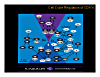stacks_image_9CEF06E8-A29E-4FF3-83B4-9202166C68DB