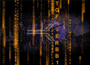 stacks_image_8E085076-8ADF-45EC-9243-EAD24910DDF8