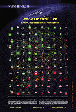 OncoNET.ca Poster