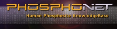 PhosphoNET Link Banner