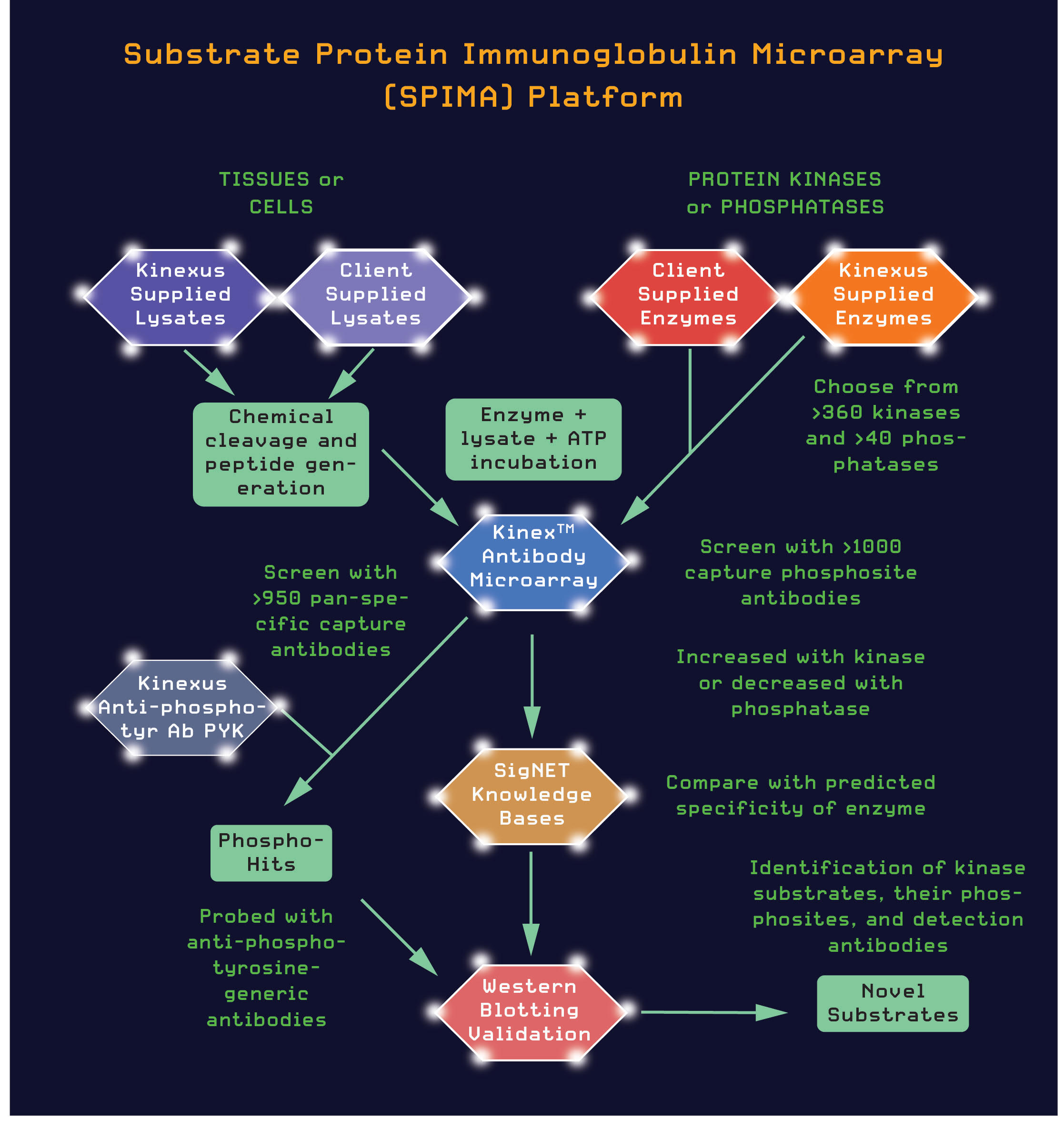 SPIMA Flow Chart