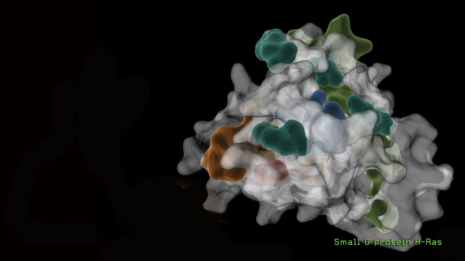 H-Ras_small_G_protein