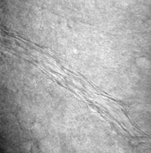 Ca²⁺ wave triggers repeated arteriole constriction