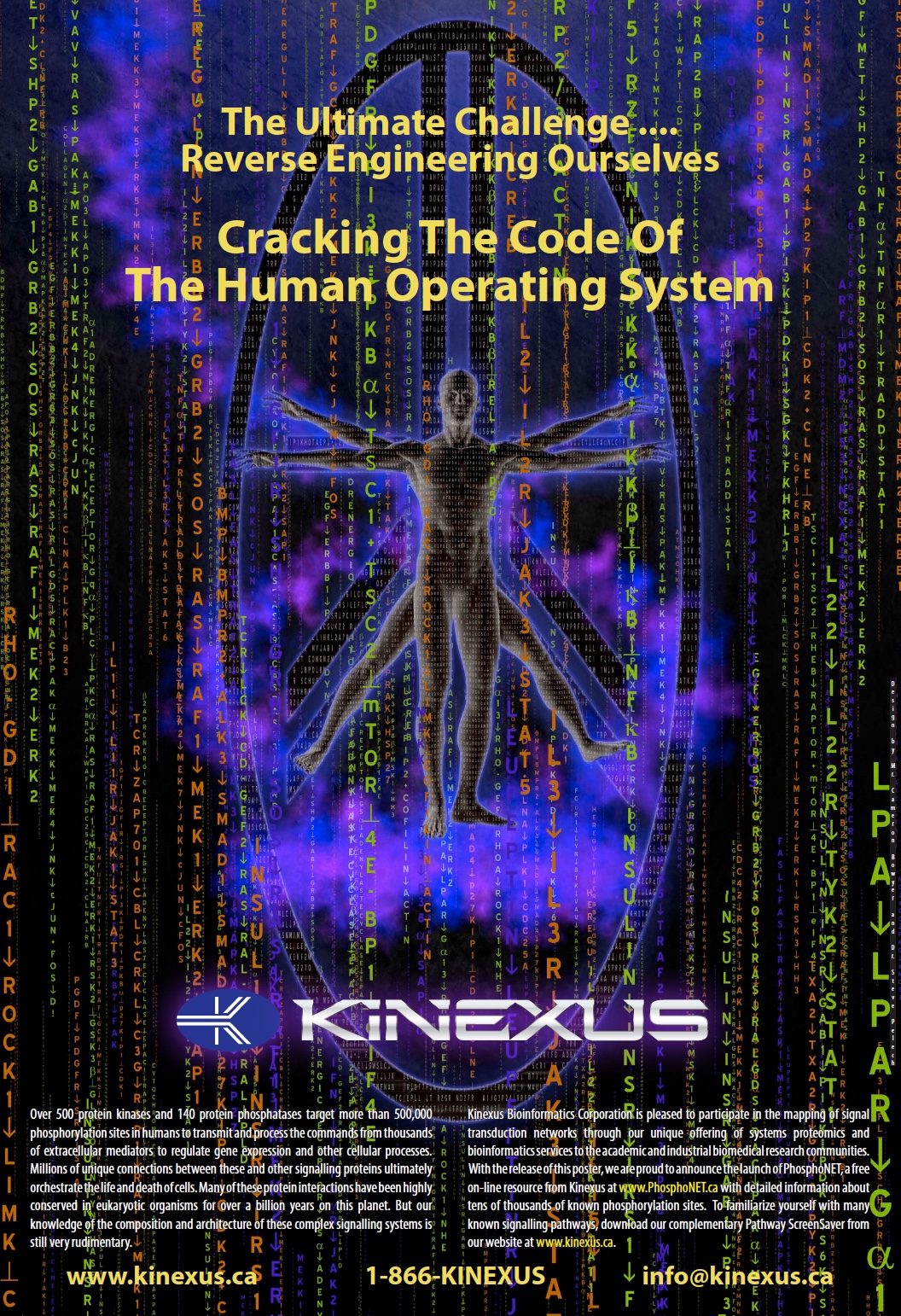 Signalling Pathway Poster