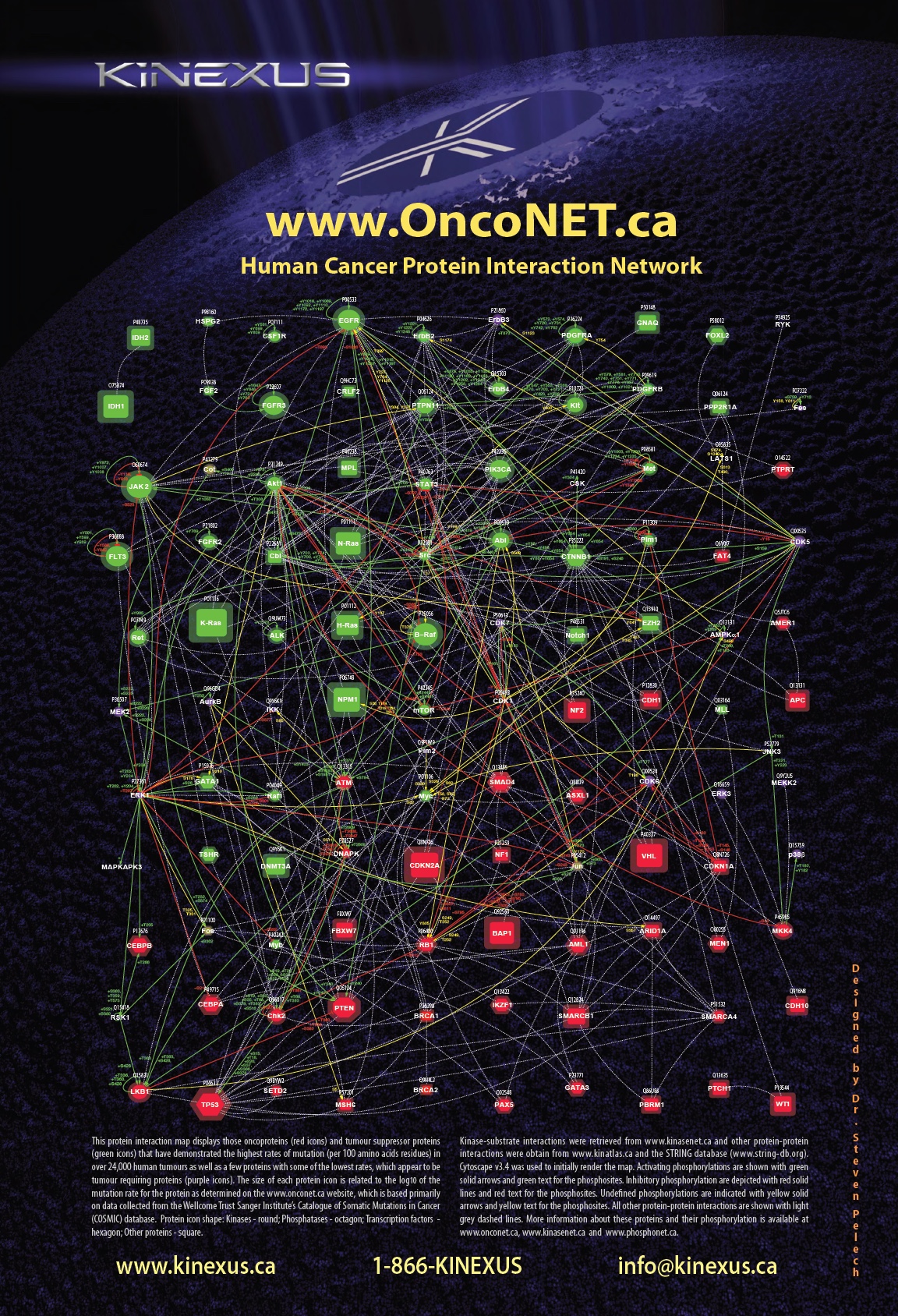 Cancer Protein Interactions Poster