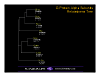 stacks_image_8CF19F61-5CCE-45B9-988A-C20AFCE70D6A