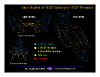 stacks_image_6E5C22CF-52E7-46F8-BBAD-97F199ECA174