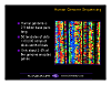 stacks_image_E0A4CBF7-9F61-4FDB-8F76-8A986C3E6C24
